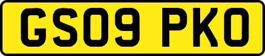 GS09PKO