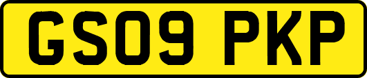 GS09PKP