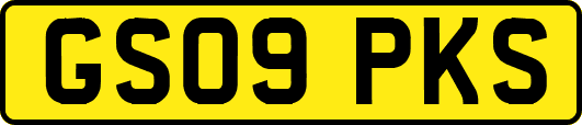 GS09PKS