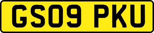 GS09PKU