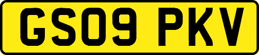 GS09PKV