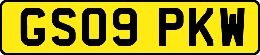GS09PKW