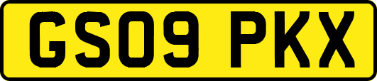 GS09PKX