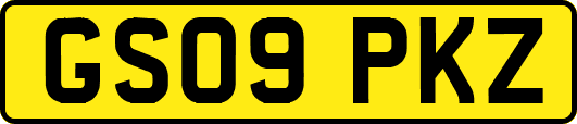 GS09PKZ