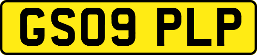 GS09PLP