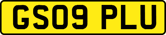 GS09PLU