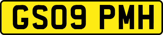 GS09PMH