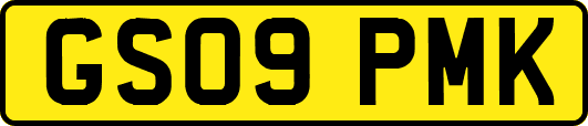 GS09PMK