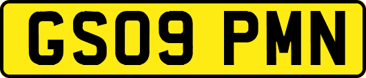 GS09PMN