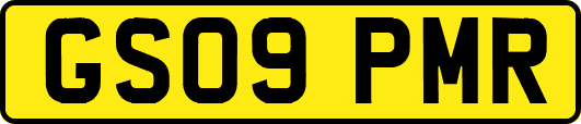 GS09PMR