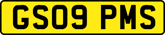 GS09PMS