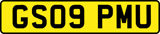 GS09PMU