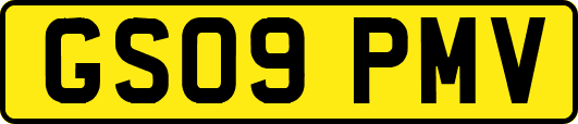 GS09PMV