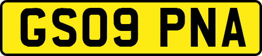 GS09PNA