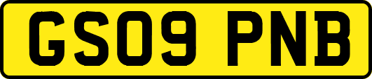GS09PNB
