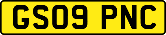 GS09PNC
