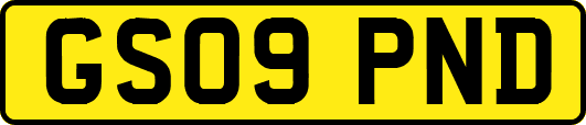 GS09PND