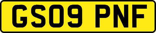 GS09PNF