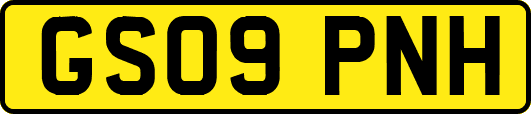 GS09PNH