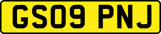 GS09PNJ