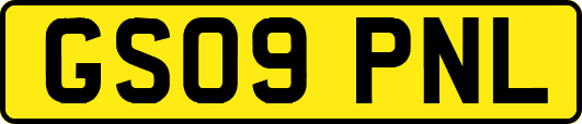 GS09PNL