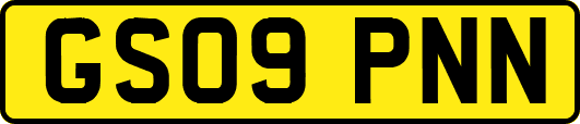 GS09PNN