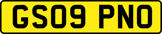 GS09PNO