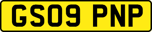 GS09PNP
