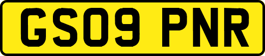 GS09PNR
