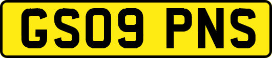 GS09PNS