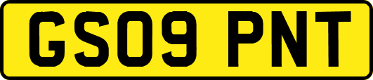 GS09PNT