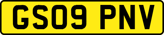GS09PNV