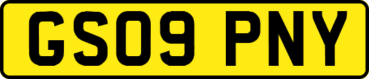 GS09PNY