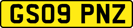 GS09PNZ