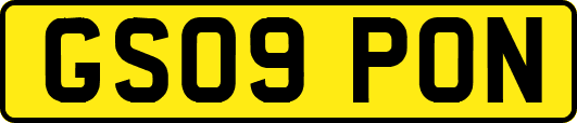 GS09PON