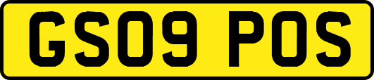 GS09POS