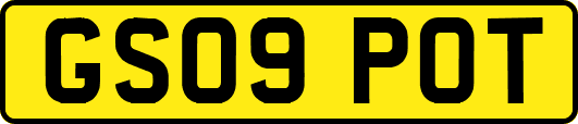 GS09POT