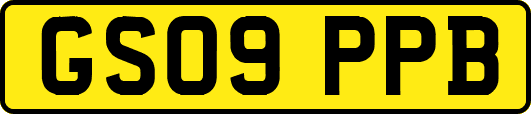 GS09PPB