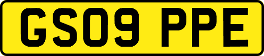 GS09PPE