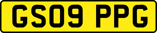 GS09PPG