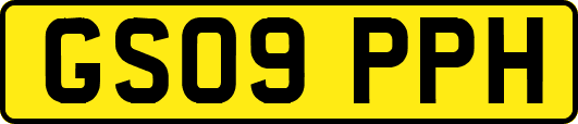 GS09PPH