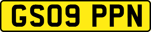 GS09PPN