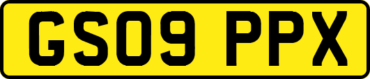 GS09PPX