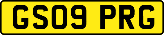 GS09PRG