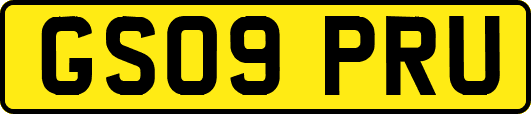 GS09PRU