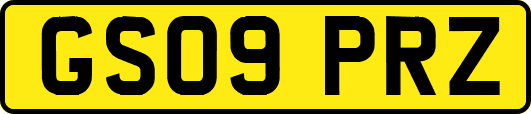 GS09PRZ