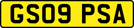 GS09PSA
