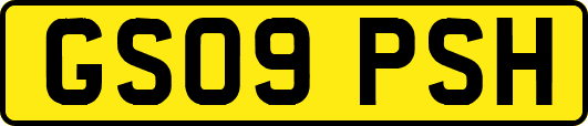 GS09PSH