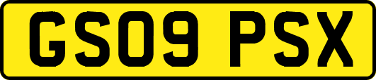 GS09PSX