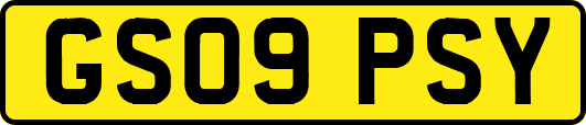 GS09PSY